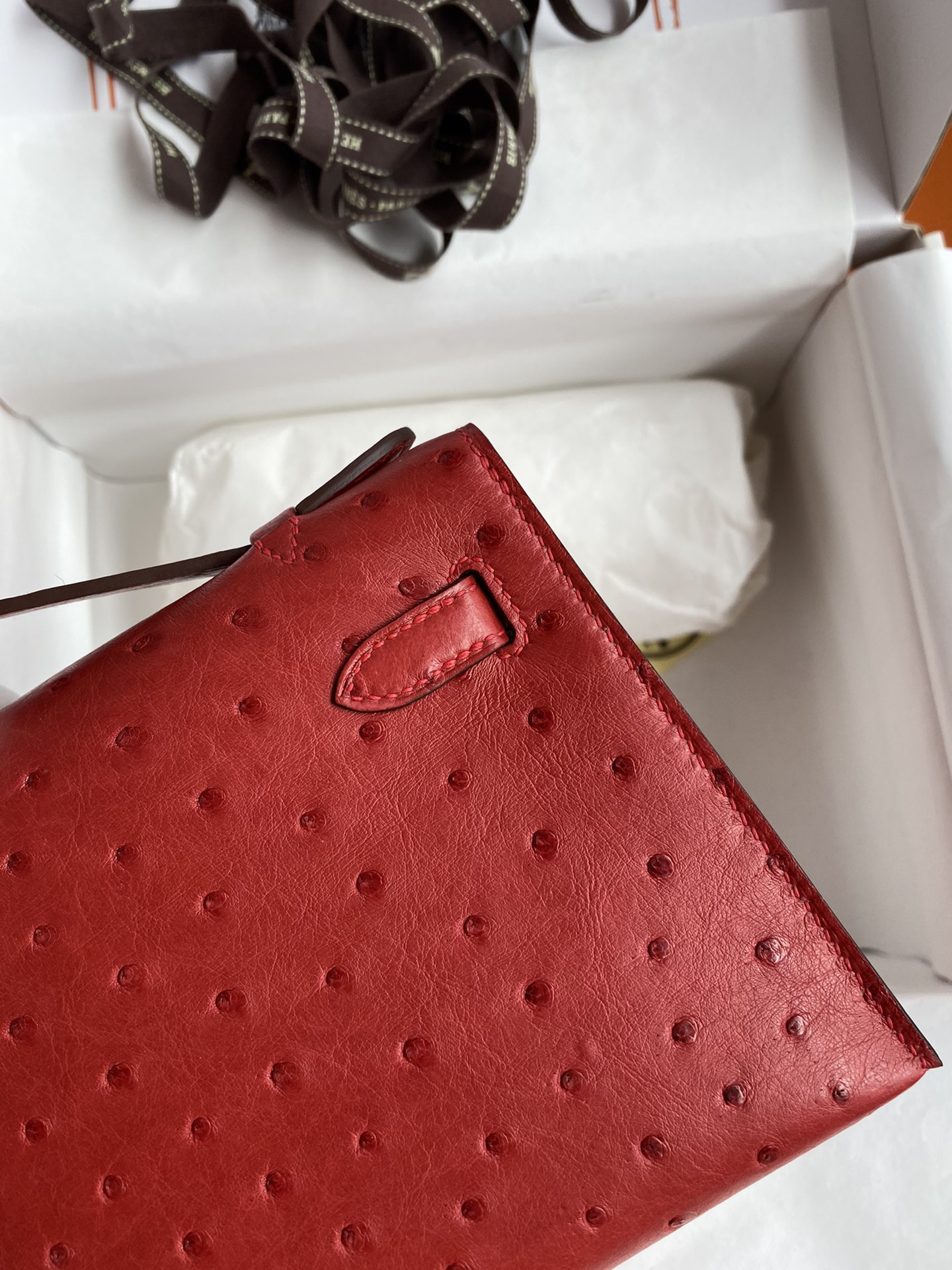 Hermes Mini Kelly Pochette 22cm Bag In Red Ostrich Leather